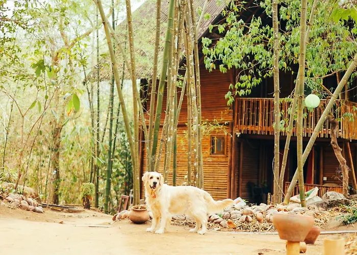 Uravu Bamboo Grove Resort